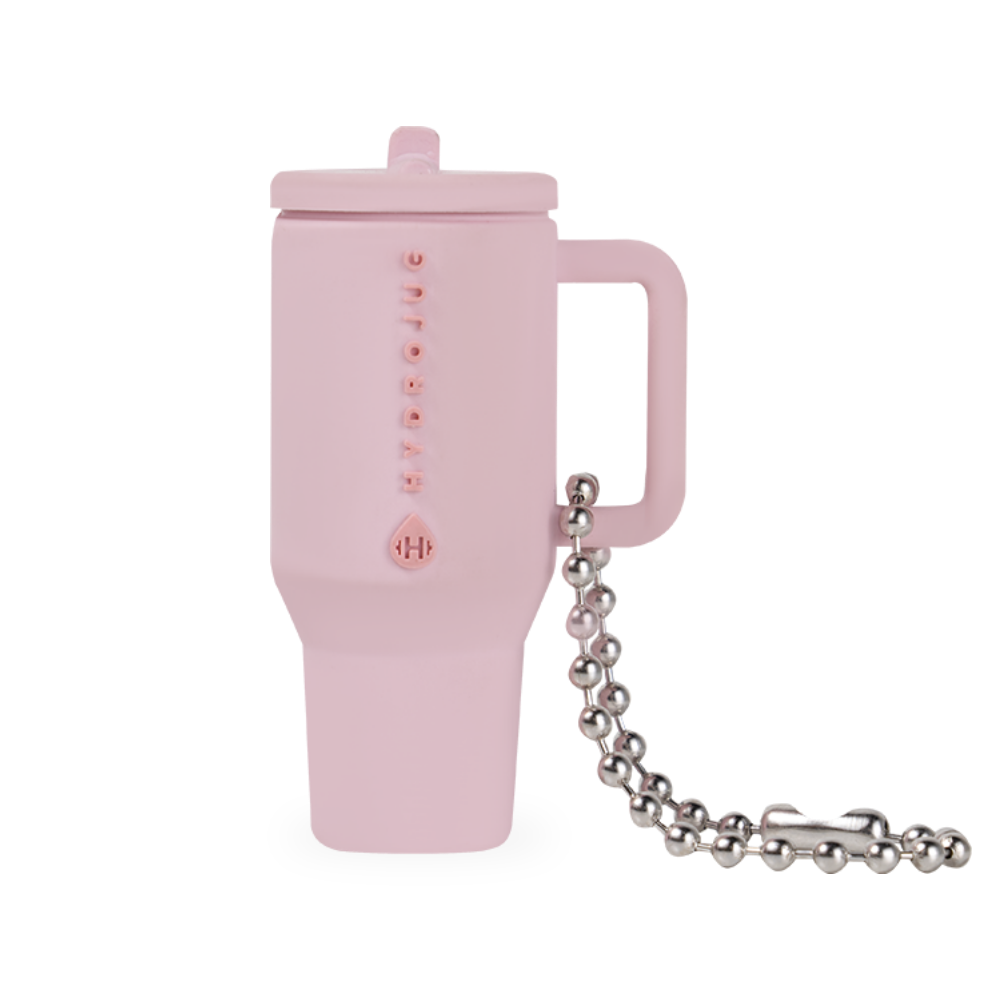 Traveler Keychain | Silicone Mini Traveler Metal Chain