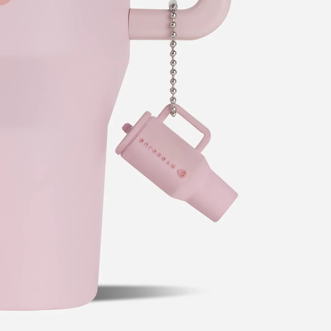 Traveler Keychain | Silicone Mini Traveler Metal Chain